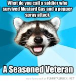 funny-lame-pun-coon-meme-soldier-mustard-pepper-seasoned-veteran-pics.jpg