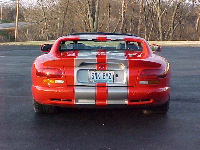 Assorgy License Plate