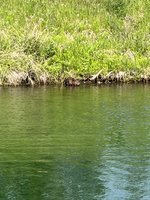 IMG_3469.jpeg