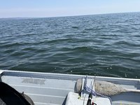 IMG_3471.jpeg