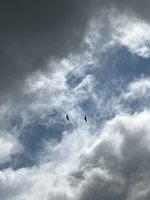 IMG_3560.jpeg