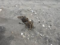IMG_9473.jpeg