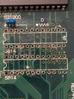 PXL_20250629_155039612.jpg