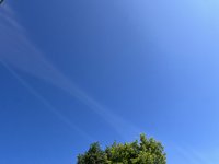 IMG_3634.jpeg