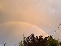 IMG_3633.jpeg