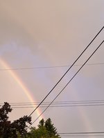 IMG_3632.jpeg