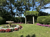 IMG_0224.jpeg