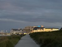 IMG_0217.jpeg