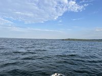 IMG_3957.jpeg