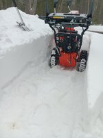snow 1.jpg