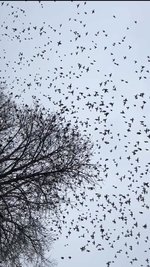 IMG_6469.jpeg