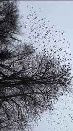IMG_6470.jpeg
