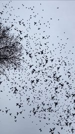 IMG_6476.jpeg