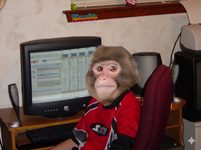 1000043598.png