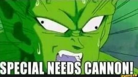 special needs cannon.jpg