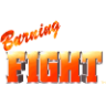 Burning Fight Review